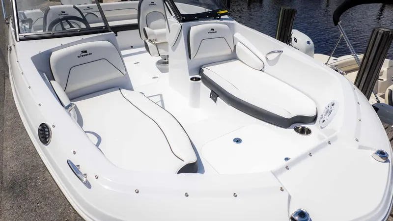 Slide: The Image of Stingray 191DC 2025 - 7