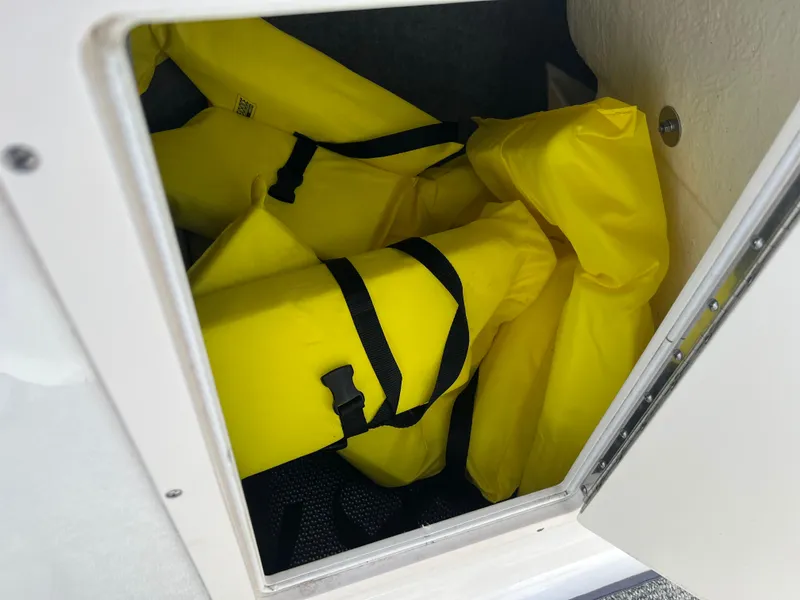 Slide: The Image of Chaparral 19 H2O Sport 2017 - 14