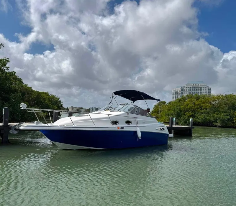 Slide: The Image of 2005 Ebbtide 2500 Mid-Cabin Cruiser docked on a sunny day with cloudy sky. - 1