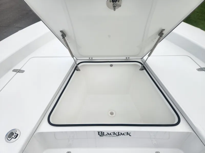 Slide: The Image of 2025 BlackJack 256 Bay boat storage compartment open, showcasing spacious interior. - 10