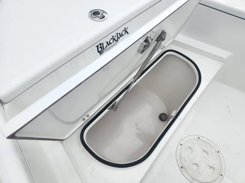 Slide: The Image of Open storage compartment on 2025 BlackJack 256 Bay boat. - 12