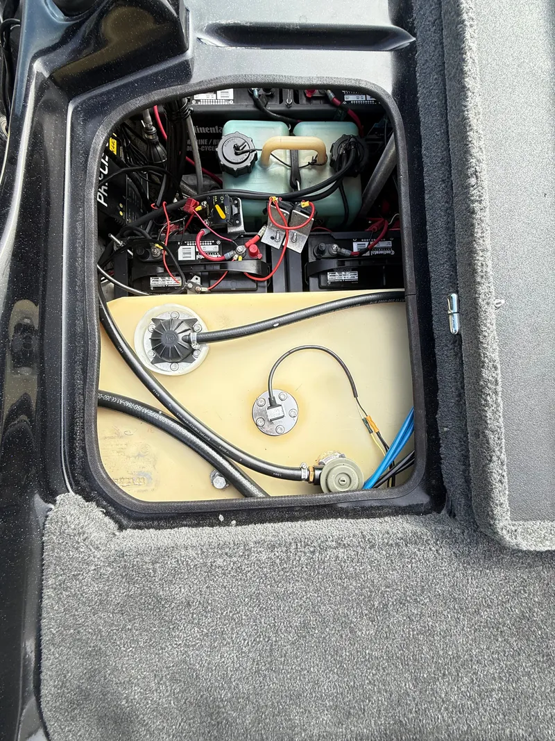 Slide: The Image of Bass Cat Puma FTD 2015 - 27