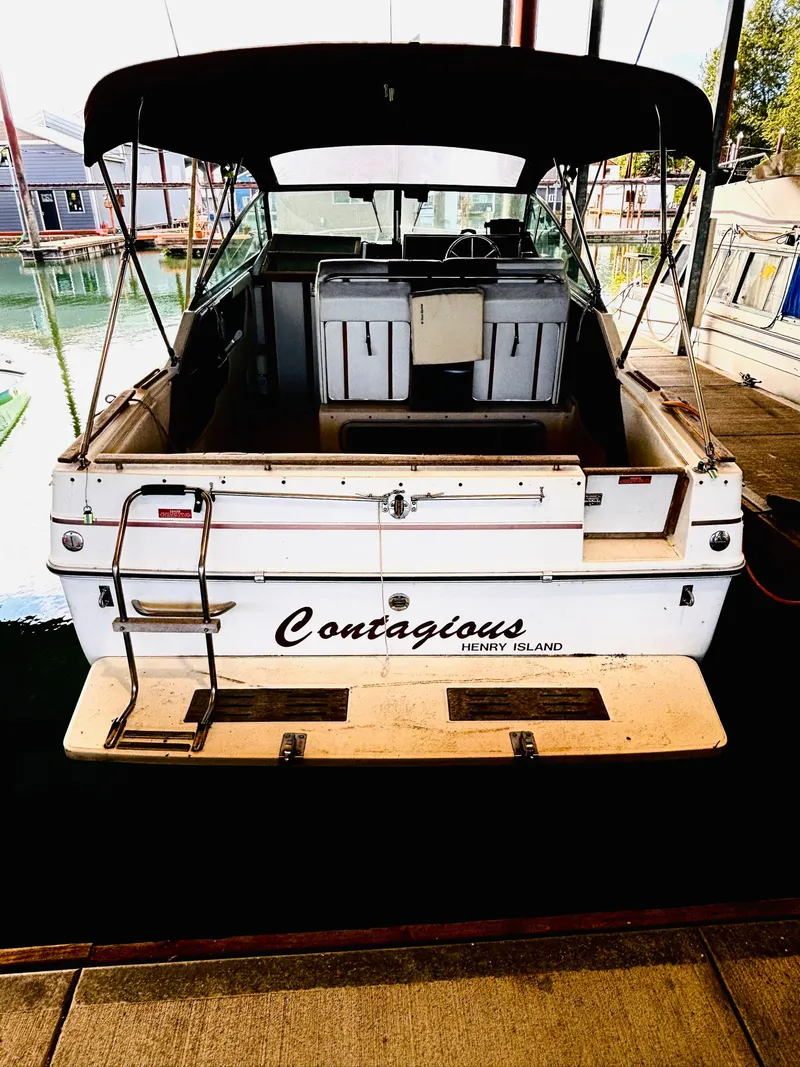 Slide: The Image of 1989 Sea Ray Sundancer boat docked, rear view with canopy and ladder. - 4
