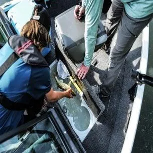 Slide: The Image of Two people measuring a fish on a 2025 Lund 1650 Rebel XL SS boat. - 13