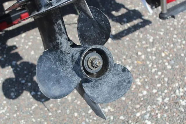 Slide: The Image of Palm Beach 220D 2008 - 13