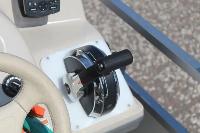 Slide: The Image of Palm Beach 220D 2008 - 20