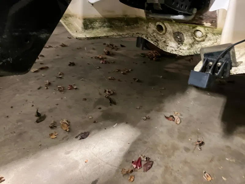 Slide: The Image of Dirty hull of a 2015 Brig Eagle 480 boat with scattered leaves on the ground. - 17