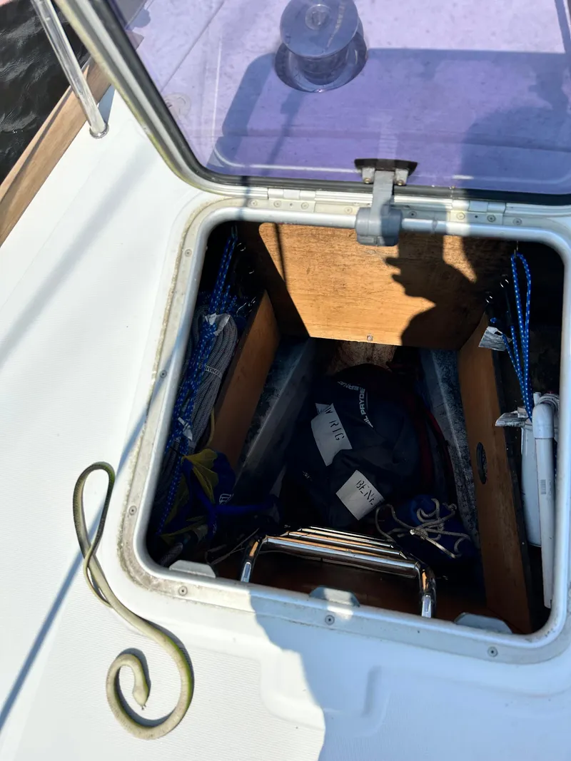 Slide: The Image of Open hatch on 2014 Beneteau Oceanis 45 sailboat, showing storage compartment with ropes and equipment. - 5