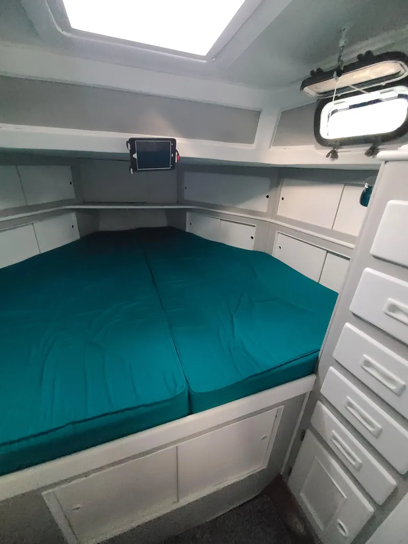 Slide: The Image of Kelly 44 1981 - 56