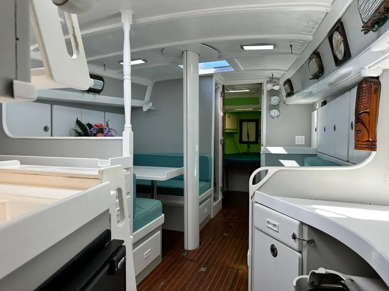 Slide: The Image of Kelly 44 1981 - 60