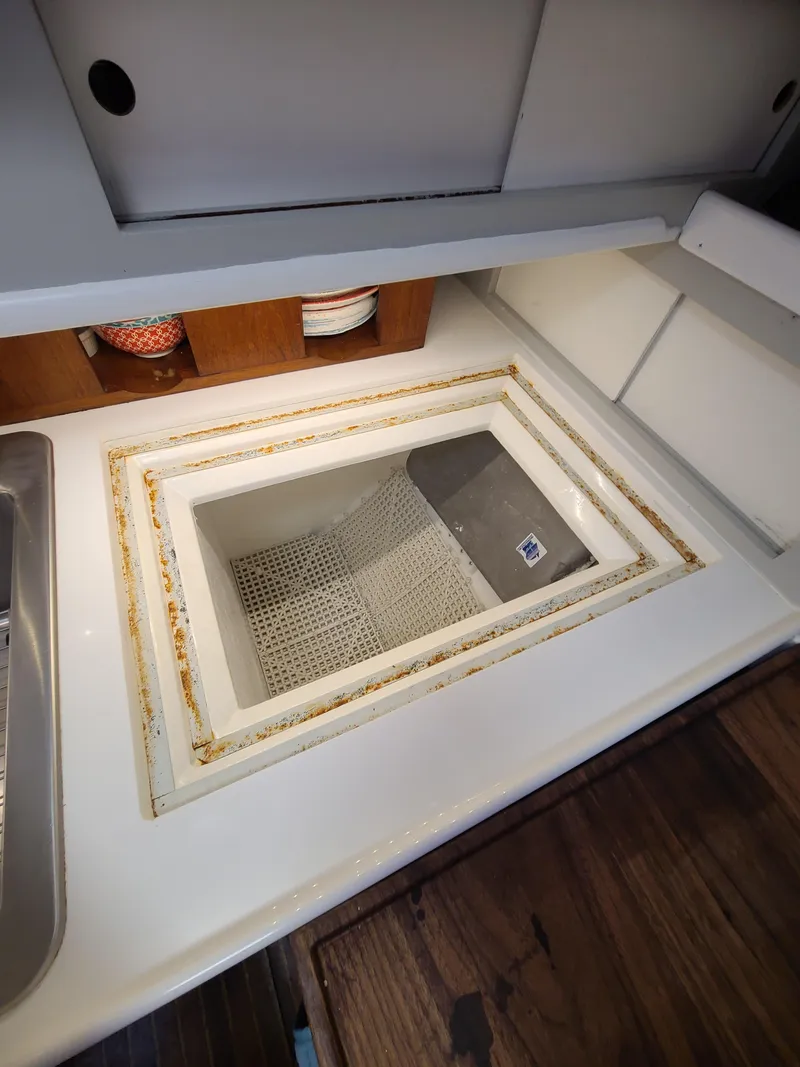 Slide: The Image of Kelly 44 1981 - 68