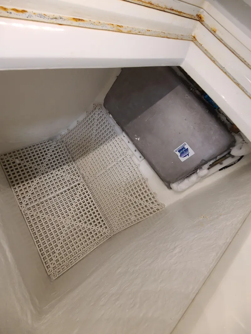 Slide: The Image of Kelly 44 1981 - 70