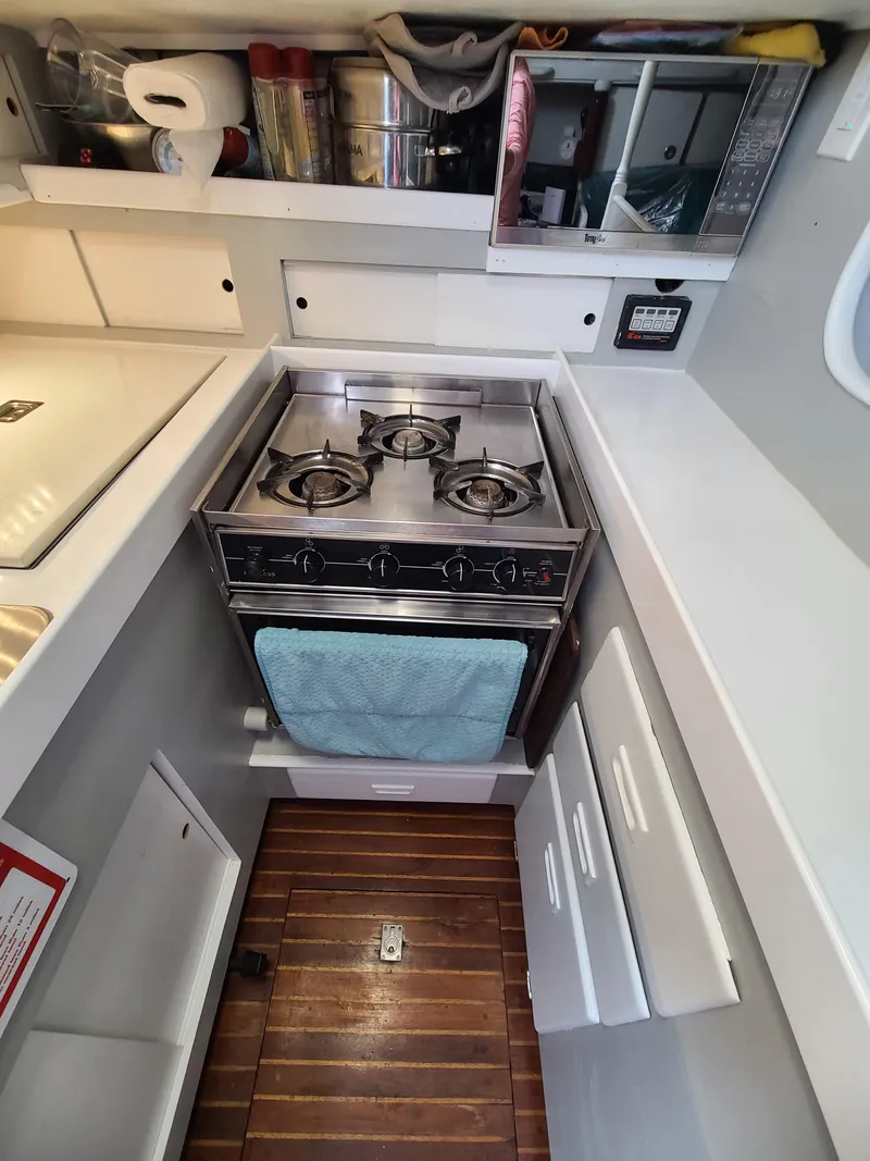 Slide: The Image of Kelly 44 1981 - 71