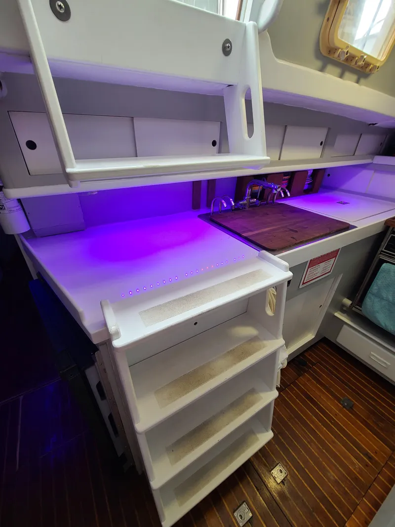 Slide: The Image of Kelly 44 1981 - 73