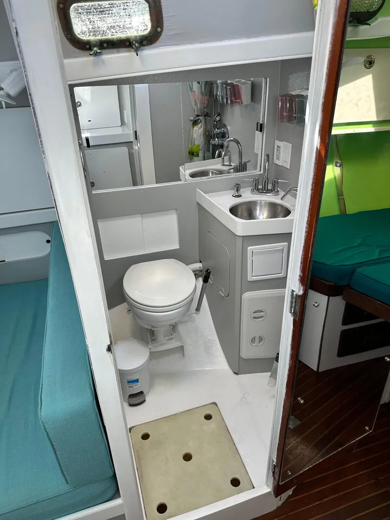 Slide: The Image of Kelly 44 1981 - 84