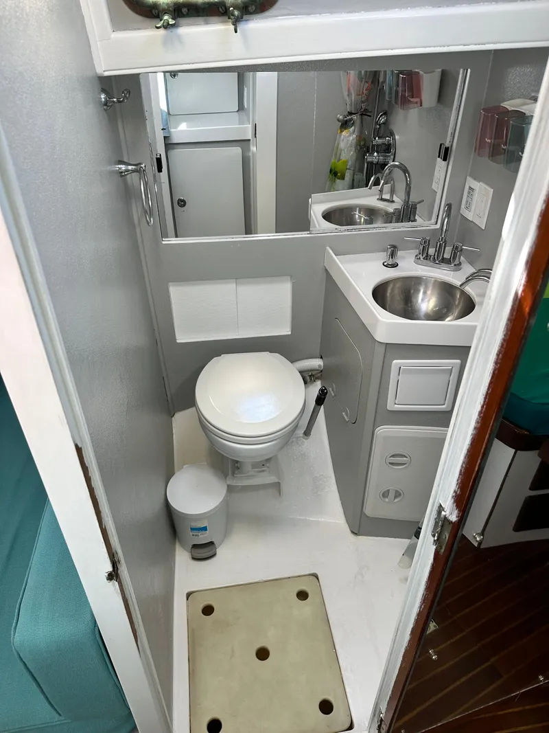 Slide: The Image of Kelly 44 1981 - 86