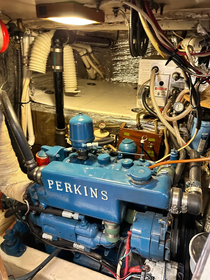 Slide: The Image of Kelly 44 1981 - 87