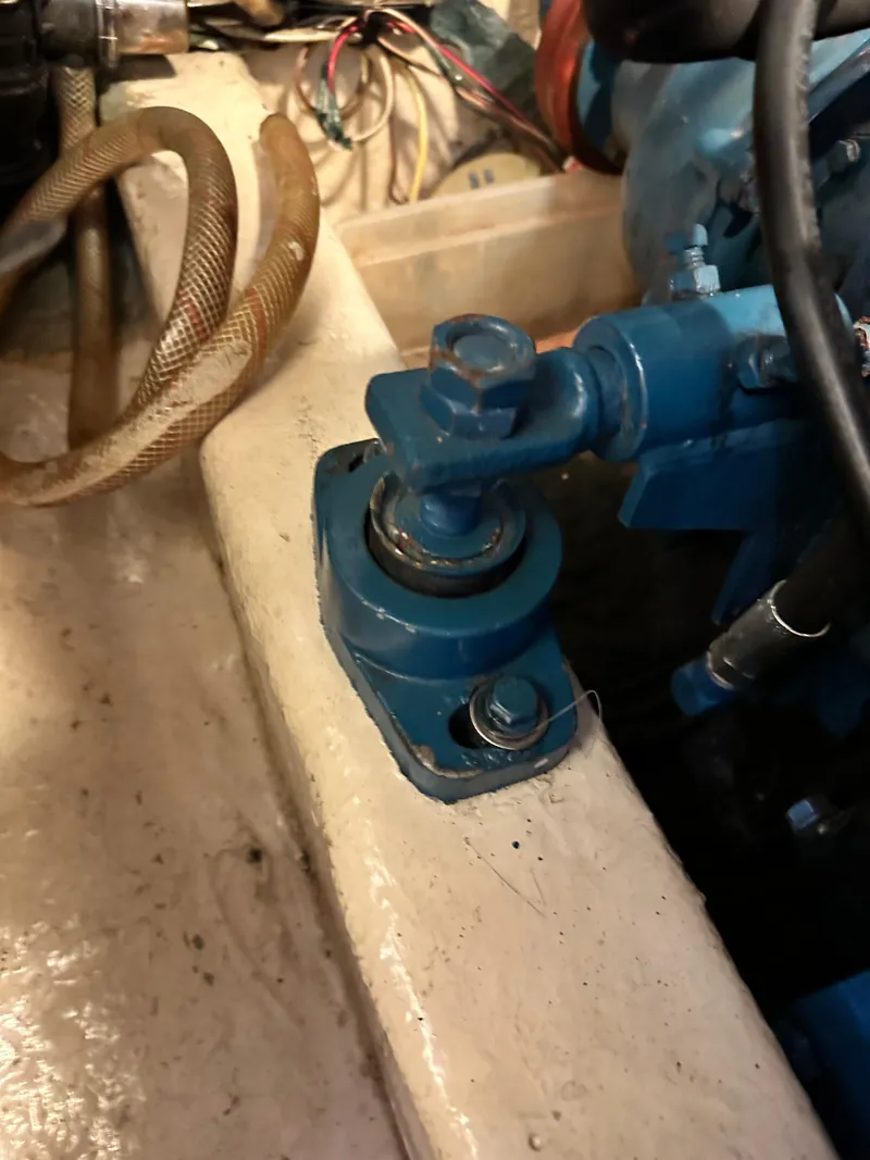 Slide: The Image of Kelly 44 1981 - 88