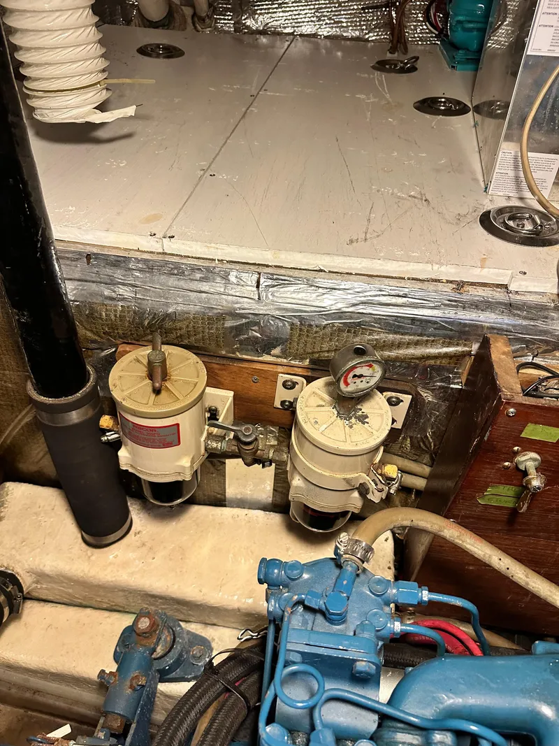 Slide: The Image of Kelly 44 1981 - 89