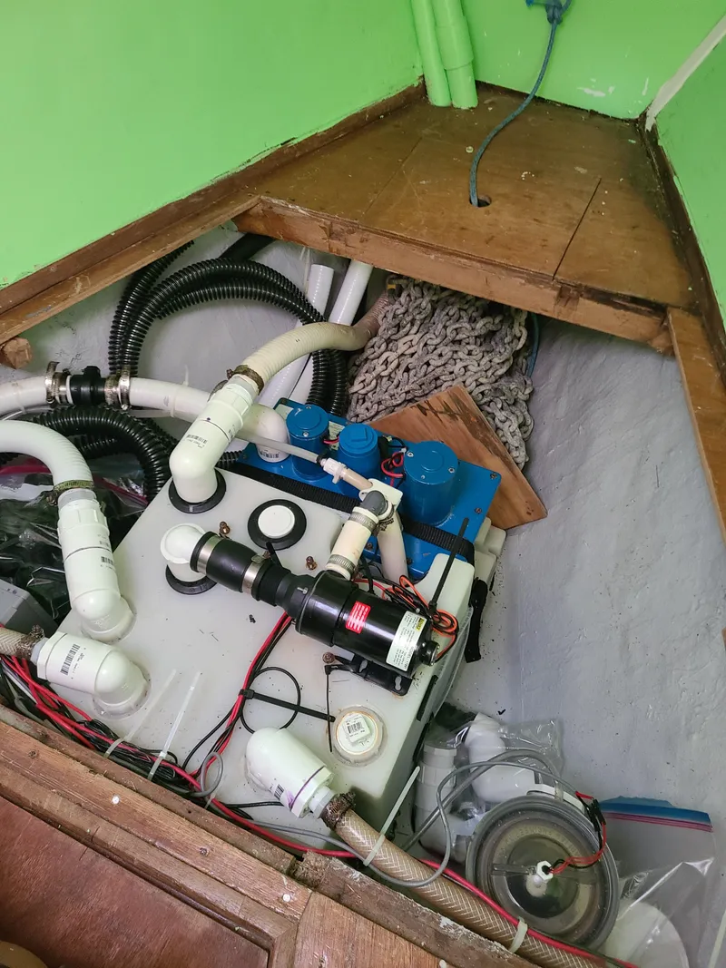 Slide: The Image of Kelly 44 1981 - 92