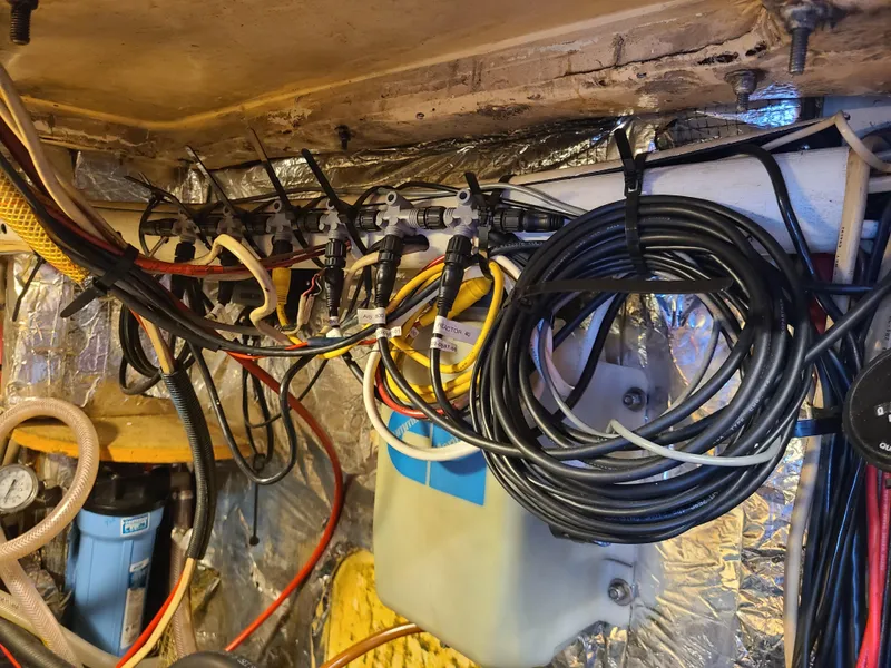 Slide: The Image of Kelly 44 1981 - 96