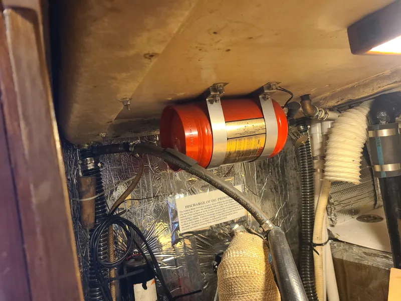 Slide: The Image of Kelly 44 1981 - 98