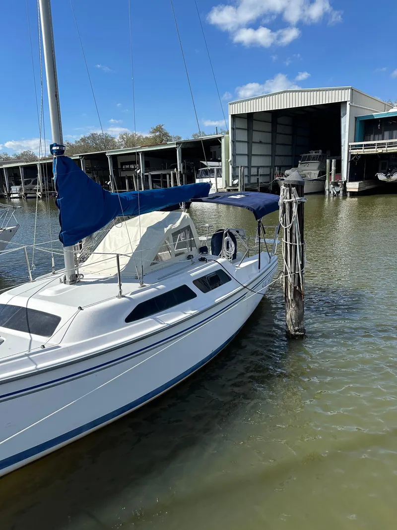 Slide: The Image of Catalina C250 2005 - 16