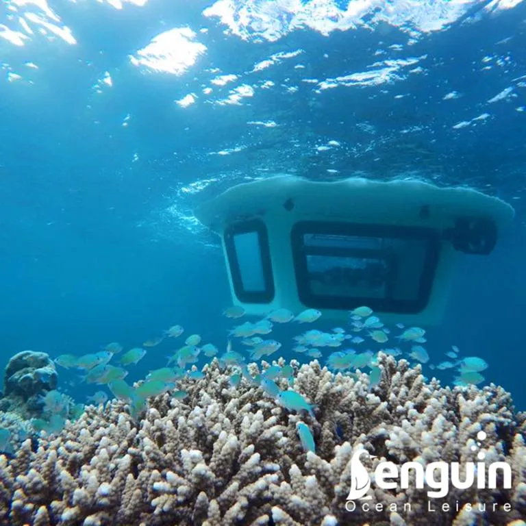 Slide: The Image of Underwater view of 2025 Penguin Semi-Submarine exploring vibrant coral reef. - 0