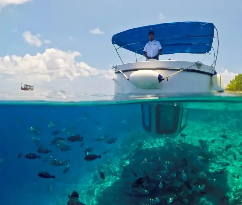 Slide: The Image of A 2025 Penguin Semi-Submarine 2.1 Gasoline exploring vibrant marine life underwater. - 1