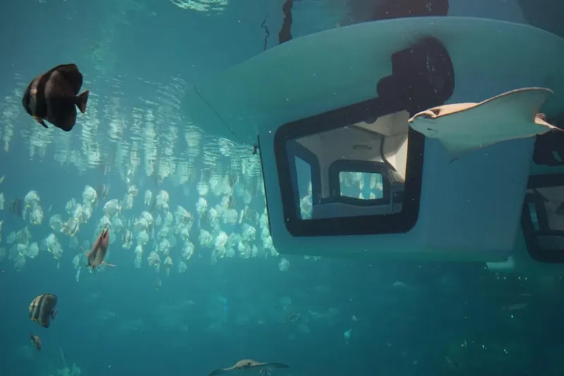 Slide: The Image of Underwater view of 2025 Penguin Semi-Submarine 2.1 with fish swimming nearby. - 3