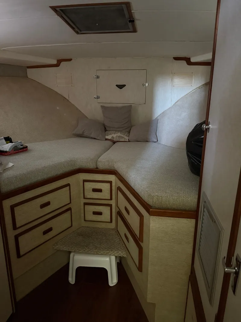 Slide: The Image of Bertram 46.6 1977 - 16