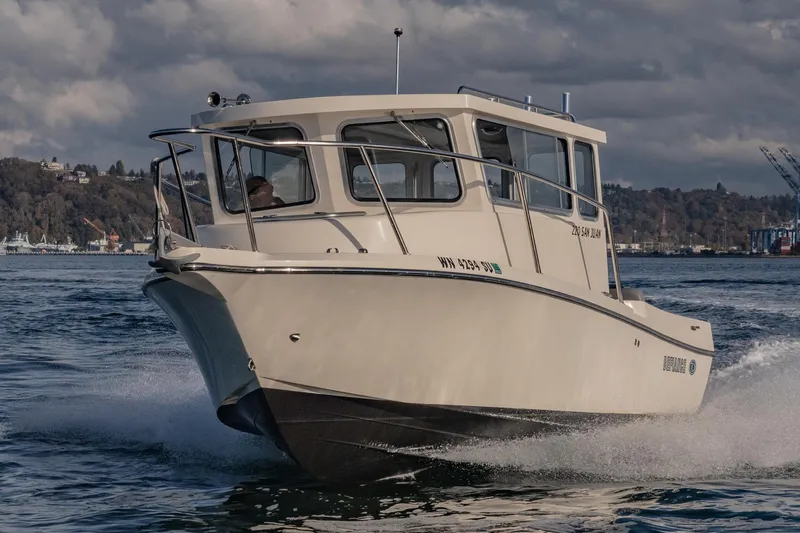 Slide: The Image of 2021 Defiance San Juan 220 boat cruising on water under cloudy skies. - 1