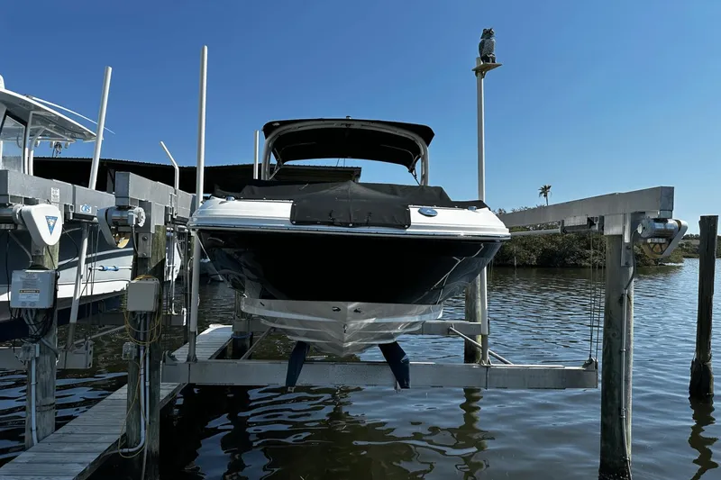 Slide: The Image of Sea Ray SDX 250 Outboard 2023 - 2