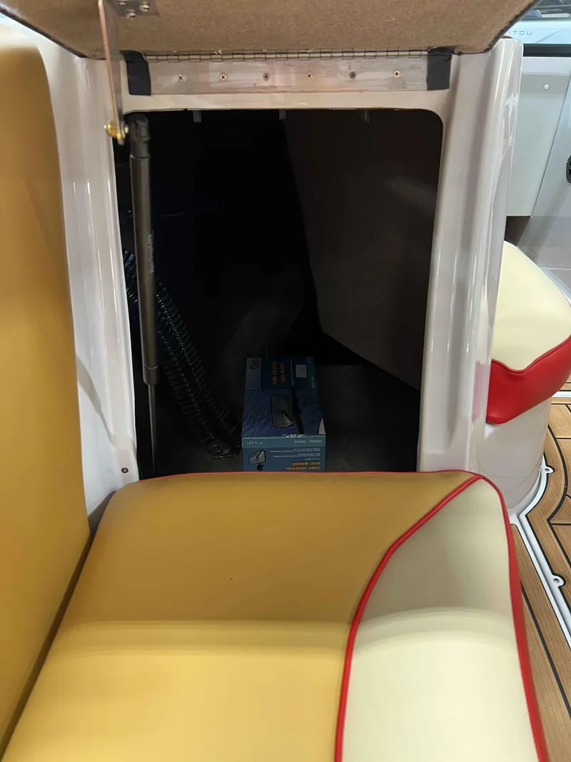 Slide: The Image of Sanger 231 SL 2025 - 14