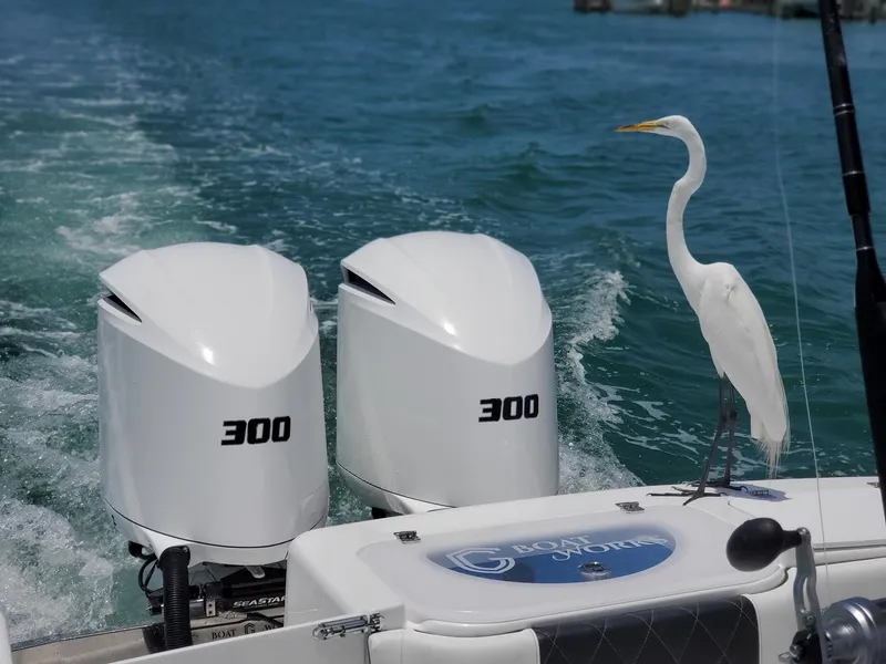 Slide: The Image of CG Boat Works 35 M-Series 2022 - 498