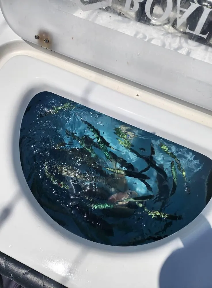 Slide: The Image of CG Boat Works 35 M-Series 2022 - 65