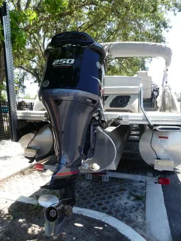 Slide: The Image of Bennington 25 RSB 2020 - 3