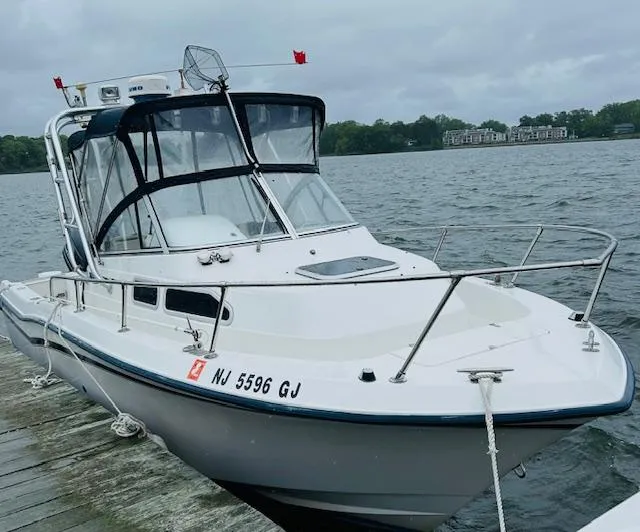 The Image of 1999 Grady-White Voyager 248 boat docked on a lake with overcast skies. - 1