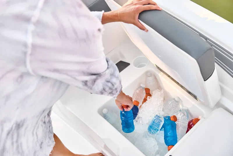 Slide: The Image of Tahoe T21 2024 - 100