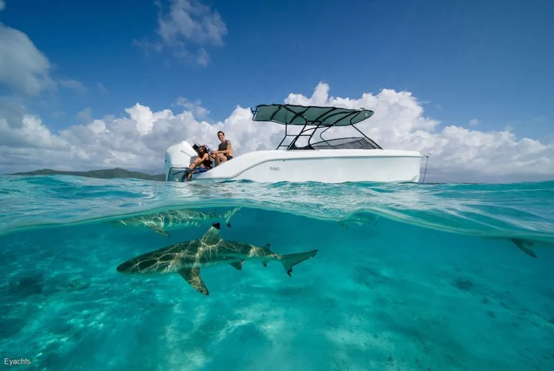 Slide: The Image of 2025 Rand Supreme 27 boat on clear ocean with visible sharks below. - 5