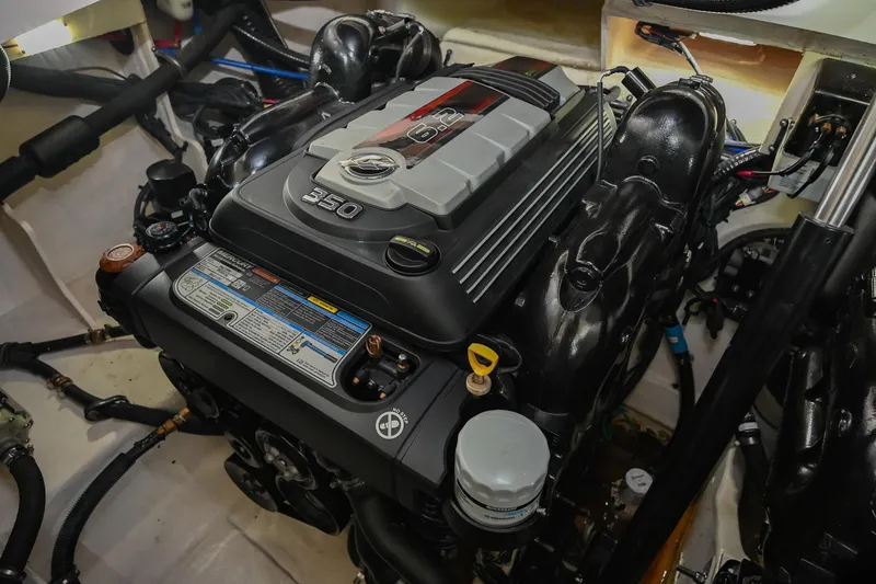 Slide: The Image of Sea Ray Sundancer 320 Coupe 2020 - 72