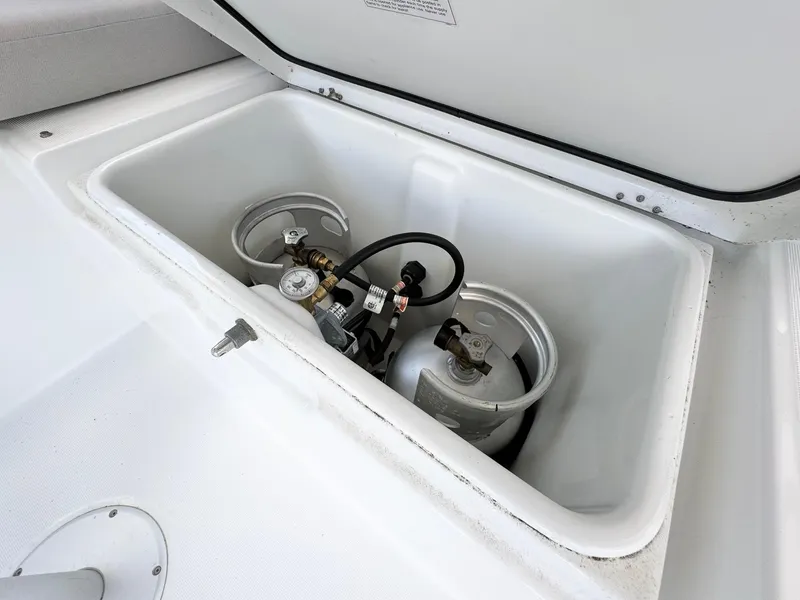 Slide: The Image of Excess 12 2023 - 91