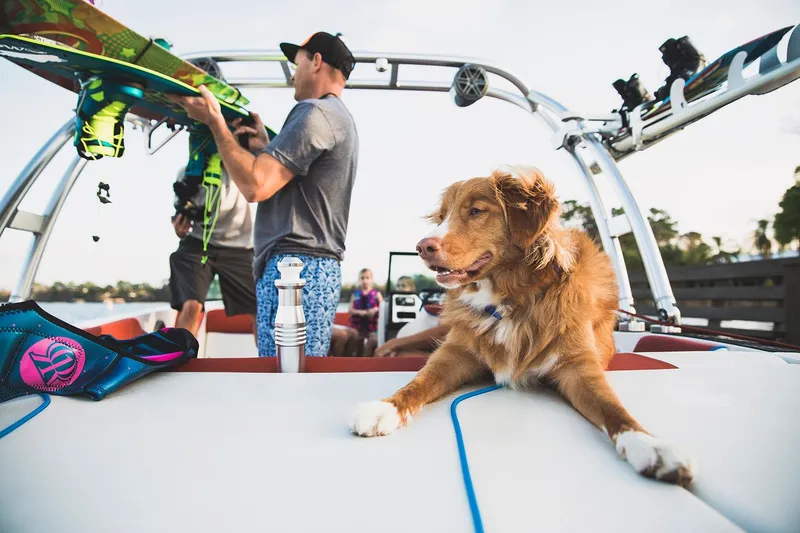 Slide: The Image of Manufacturer Provided Image - 25