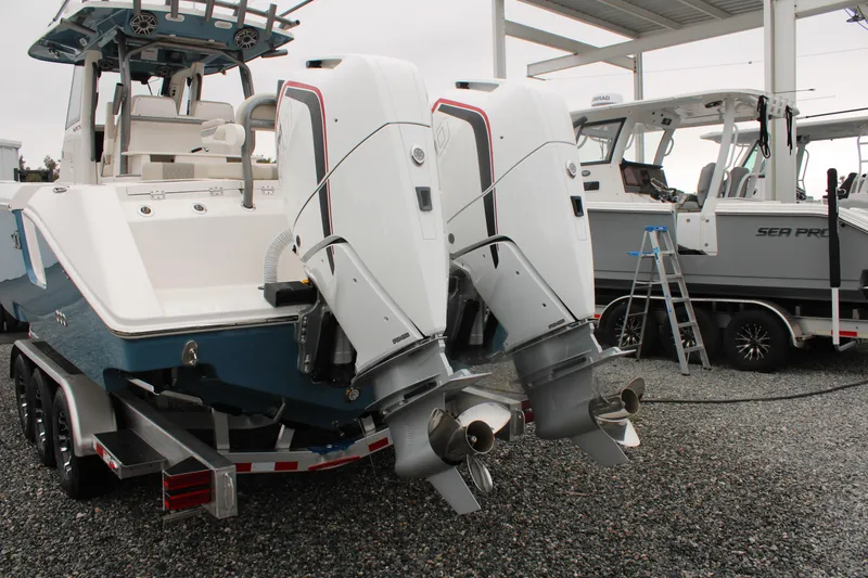 Slide: The Image of Solace 32 CS 2024 - 62