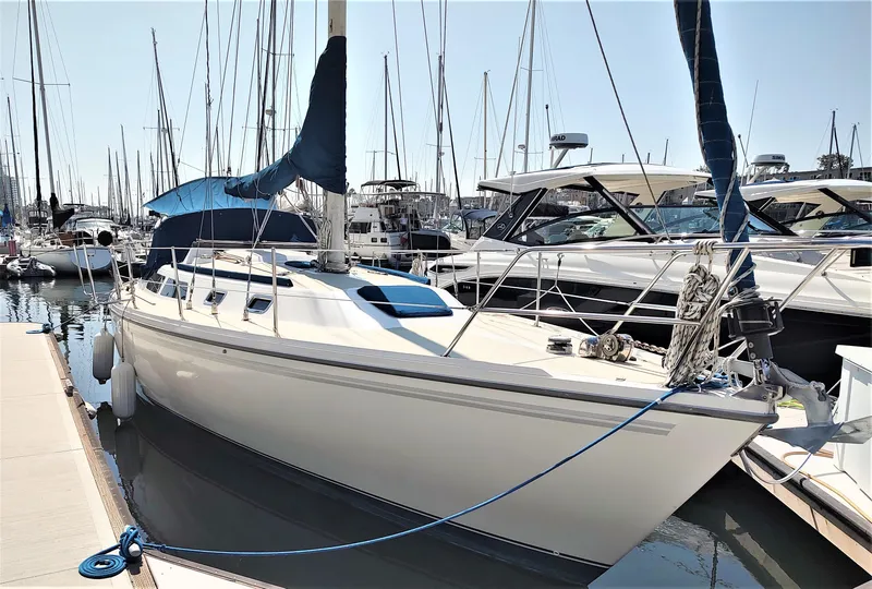 The Image of 1988 Catalina 36 sailboat docked in marina, surrounded by other boats. - 0