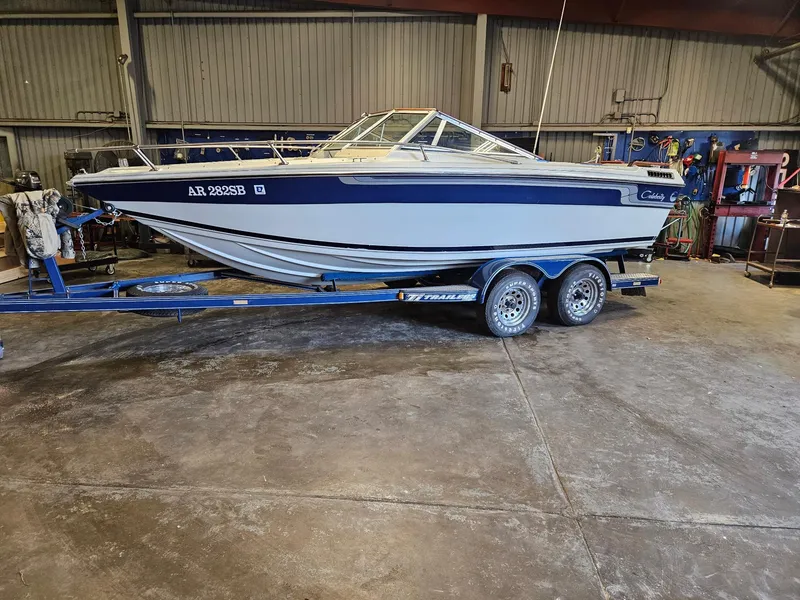 Slide: The Image of Celebrity 190 V BR Bowrider 1987 - 7