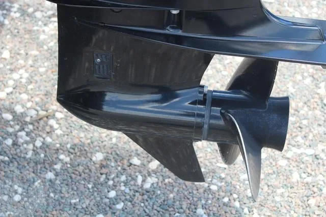 Slide: The Image of Lexington 319C 2019 - 12