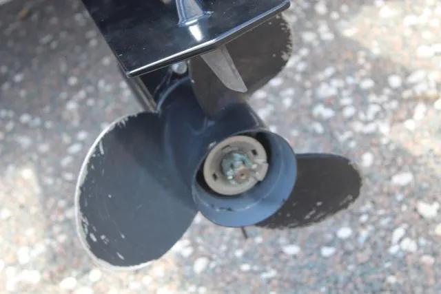 Slide: The Image of Lexington 319C 2019 - 13