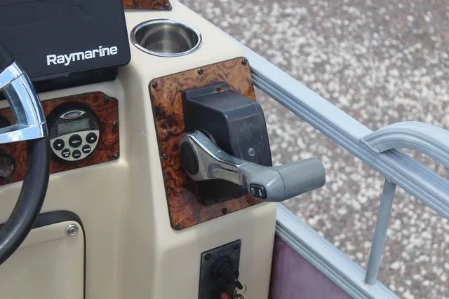 Slide: The Image of Lexington 319C 2019 - 20