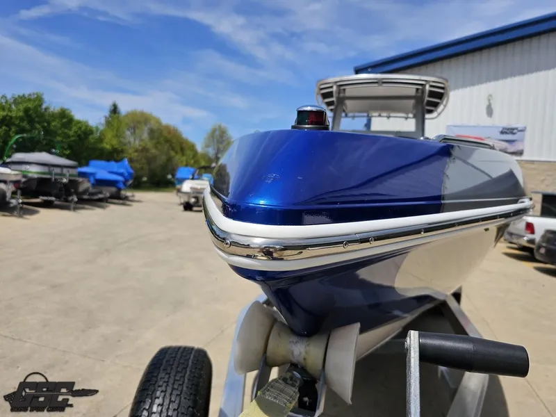 Slide: The Image of Sunsation 29 CCX 2017 - 100